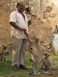 A man feeding monkeys in Bundi.