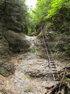 A waterfall in the Piecky valley, Slovensky Raj national park