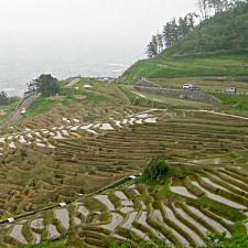 Rice fields on Noto peninsula, Ishikawa prefecture, Japan.