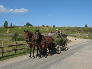 Two ladies in a horse cart in Marisel village, Romania.