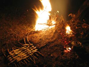 Cooking fish on a wooden grill by the campfire.
