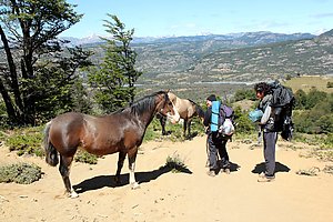 Horses on the trail when hiking down.