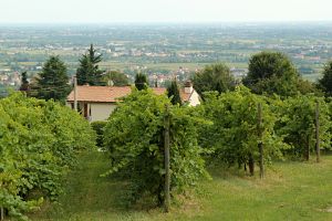 Arriving to the flat parts of Veneto region, Italy.