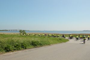 Cycling to
Libraries tour approaching the bridge to Møn island.