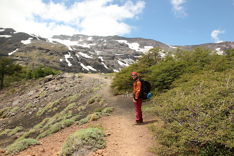 Volcanic Scenery In Malalcahuello And Conguillio