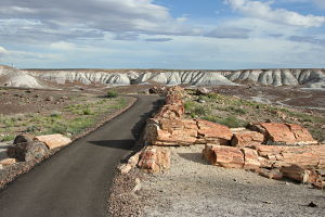 Logs of petrified wood with painted desert in the background.