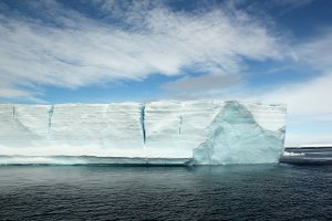 Sunny whale watching on the Weddell Sea