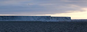 Sunny whale watching on the Weddell Sea