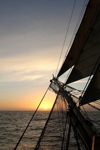 Towards South Georgia: Seasickness hits again