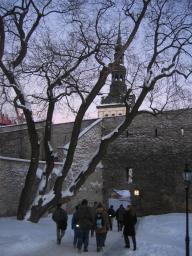 img_5079_medium.jpg