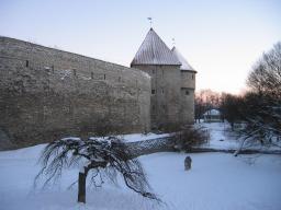img_5080_medium.jpg