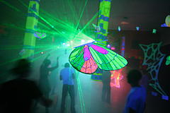 img_4634_butterfly_lasers_medium.jpg