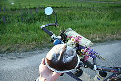 img_6594_bike_and_cake_medium.jpg