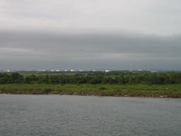 img_3894_medium.jpg