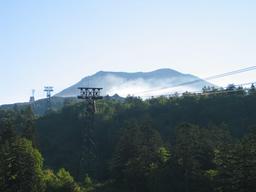 img_4014_medium.jpg