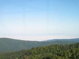 img_4016_medium.jpg