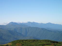 img_4018_medium.jpg