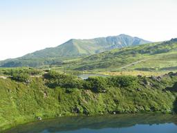 img_4021_medium.jpg