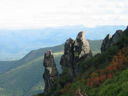 img_4060_medium.jpg