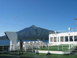 img_3913_medium.jpg