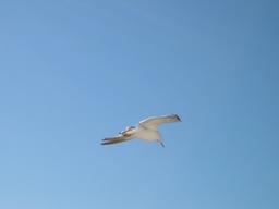 img_3914_medium.jpg