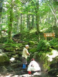 img_3917_medium.jpg