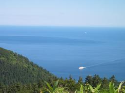 img_3920_medium.jpg