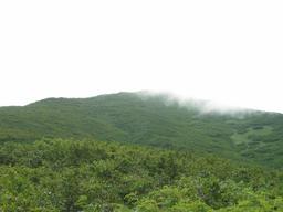 img_3924_medium.jpg