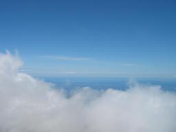 img_3928_medium.jpg