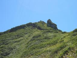 img_3929_medium.jpg