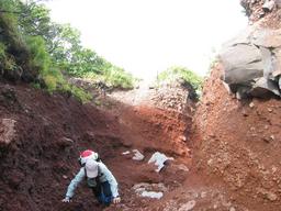 img_3931_medium.jpg