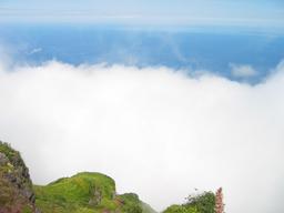 img_3933_medium.jpg