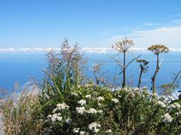 img_3935_medium.jpg