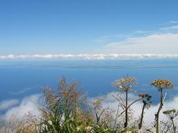 img_3938_medium.jpg