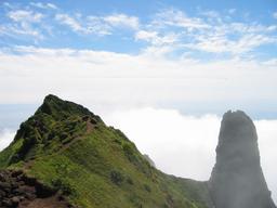 img_3939_medium.jpg