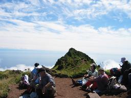 img_3941_medium.jpg