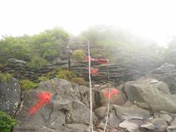 img_3945_medium.jpg