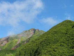 img_3951_medium.jpg