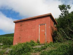 img_3955_medium.jpg