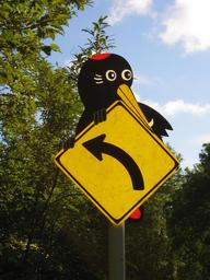 img_3956_medium.jpg