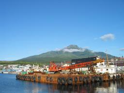img_3957_medium.jpg