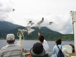 img_3983_medium.jpg