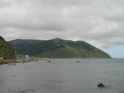 img_3985_medium.jpg