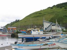 img_3986_medium.jpg