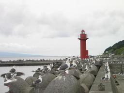 img_3987_medium.jpg