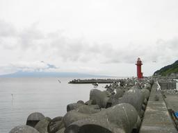 img_3988_medium.jpg