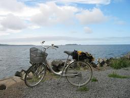 img_3989_medium.jpg