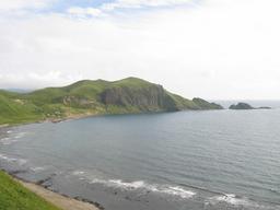 img_3992_medium.jpg