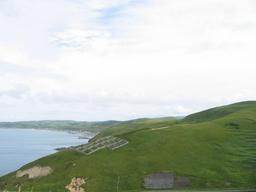 img_3995_medium.jpg