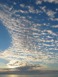 img_3999_medium.jpg
